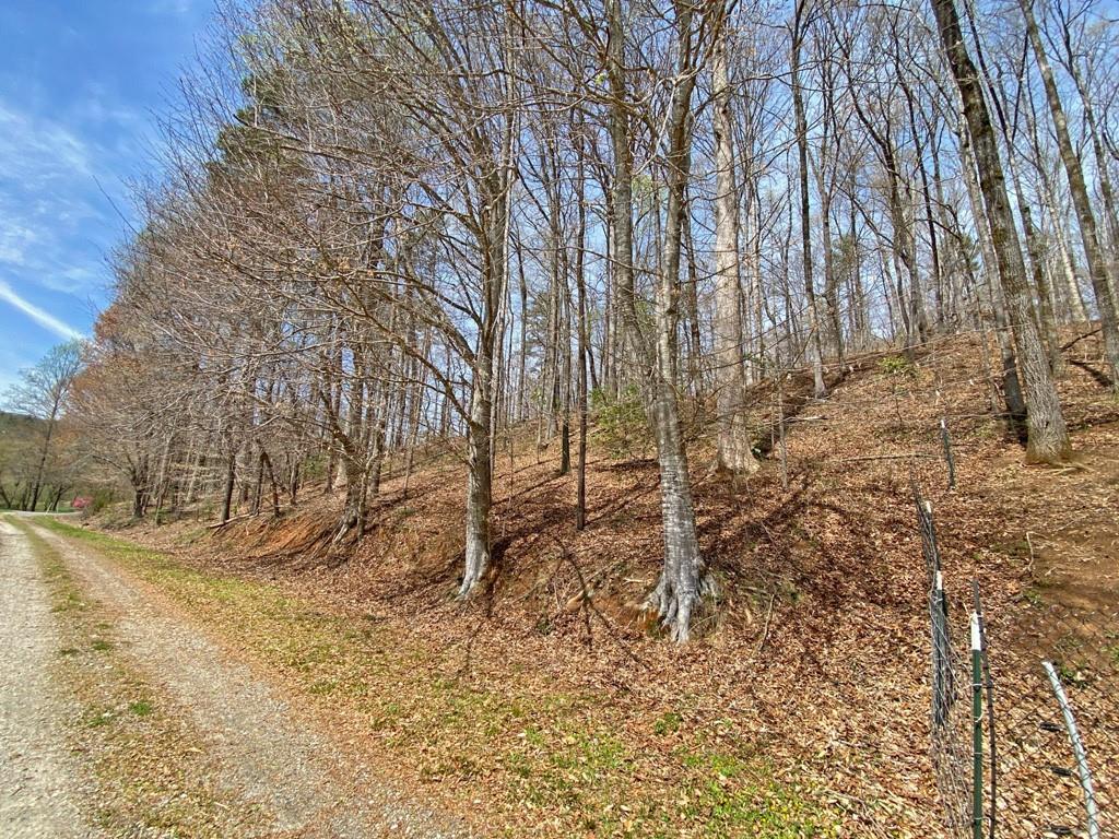 4.6ac Heritage Drive, Dahlonega, Georgia image 11