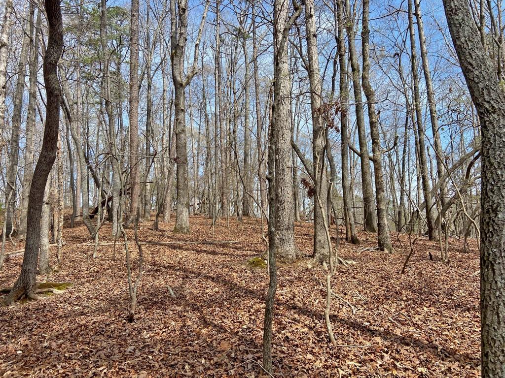 4.6ac Heritage Drive, Dahlonega, Georgia image 13
