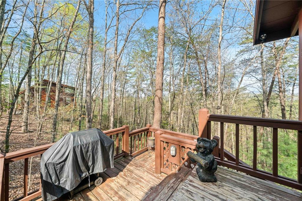 301 Laurel Creek Road, Blue Ridge, Georgia image 20