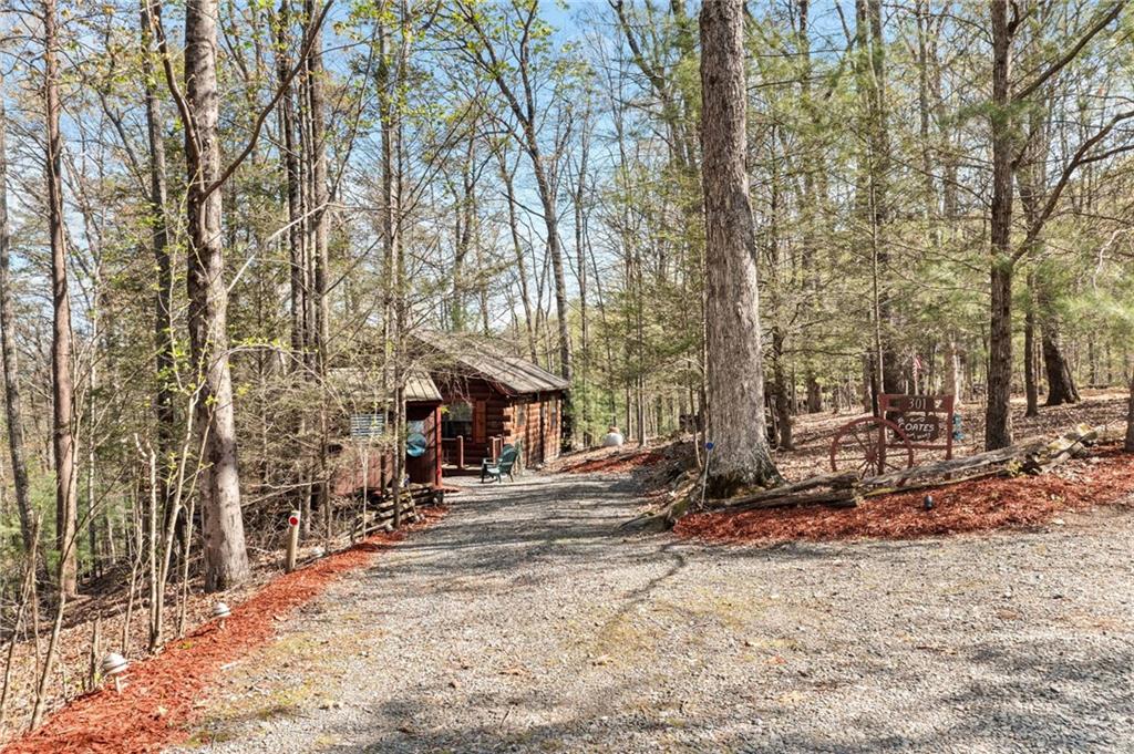 301 Laurel Creek Road, Blue Ridge, Georgia image 28