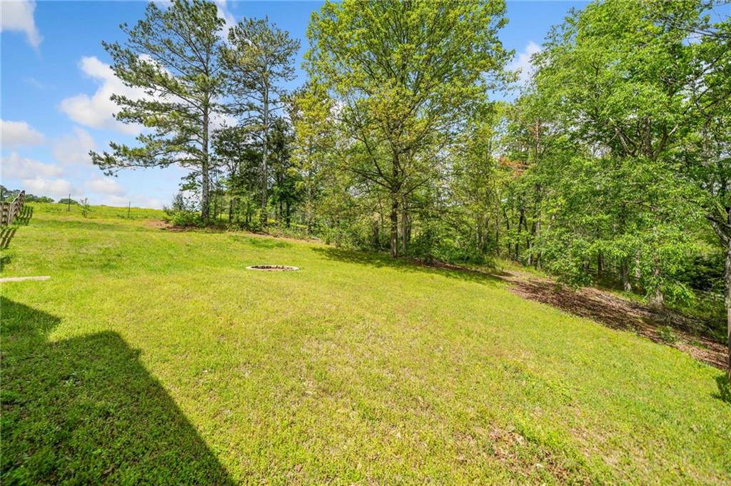 1955 Pleasant Arbor Road, Waleska, Georgia image 41
