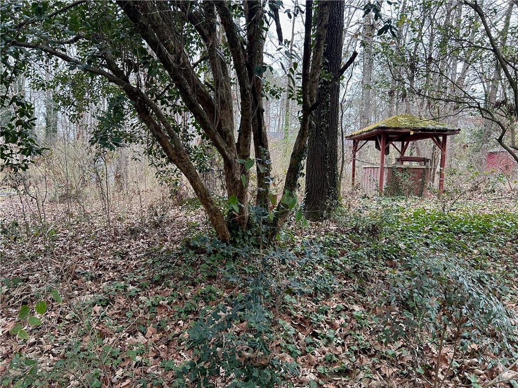 Oakview Drive, Stockbridge, Georgia image 4