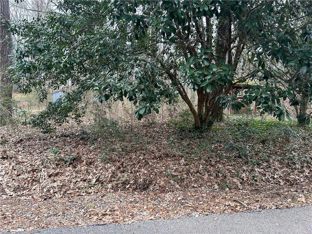 Oakview Drive, Stockbridge, Georgia image 6