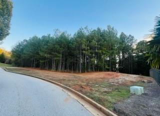 2100 NE Adel Road, Conyers, Georgia image 12