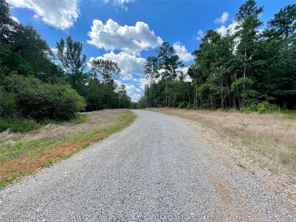 Harmony Gates Drive, Commerce, Georgia image 8