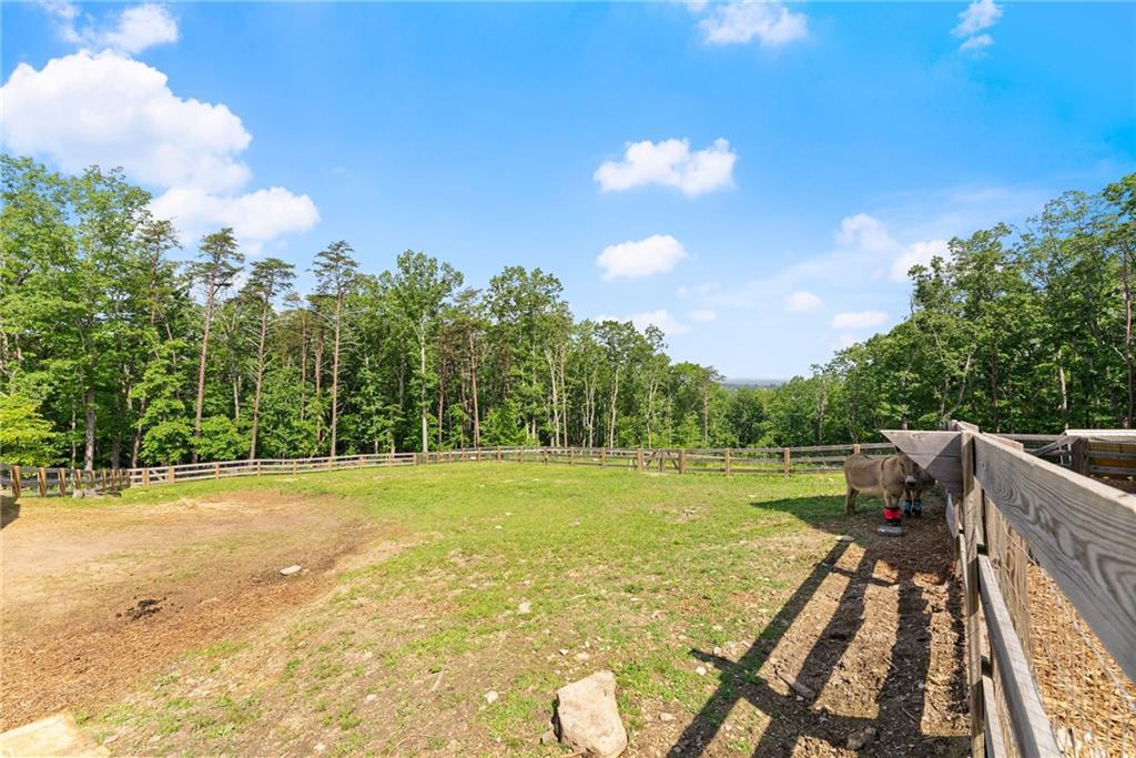 294 Turkey Trail, Jasper, Georgia image 33