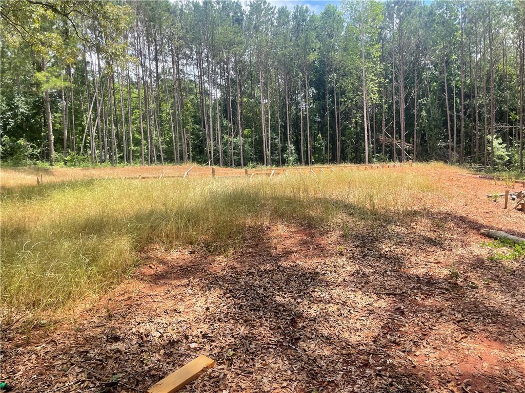 1240 N Mcdonough Drive, Griffin, Georgia image 3