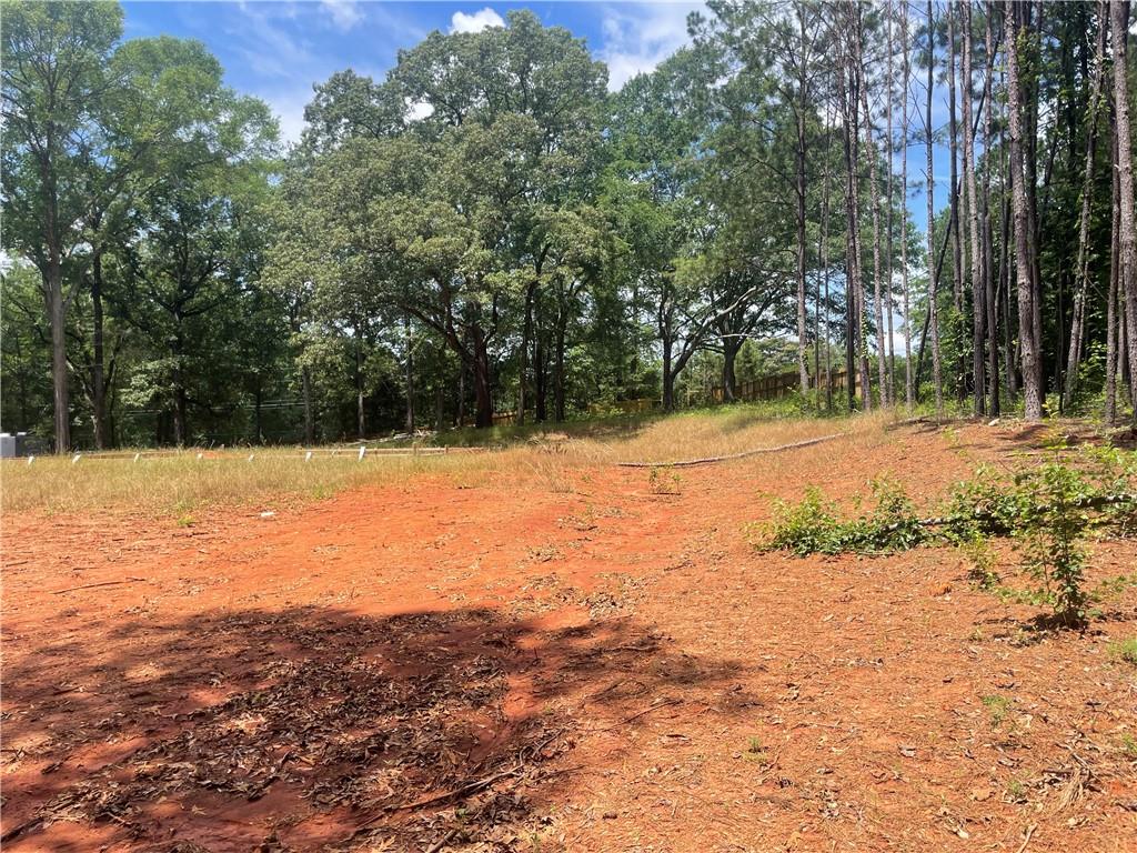 1240 N Mcdonough Drive, Griffin, Georgia image 9