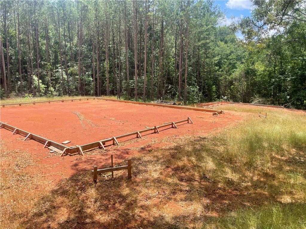 1240 N Mcdonough Drive, Griffin, Georgia image 6