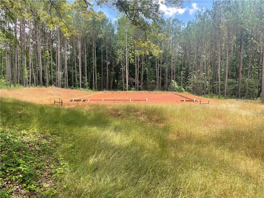 1240 N Mcdonough Drive, Griffin, Georgia image 5