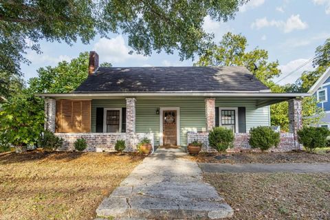 Homes For Sale - 207 Confederate Avenue<br/> Dallas, GA 30132