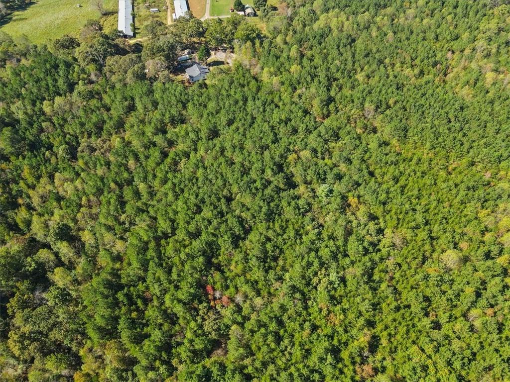 Lee Mashburn Road, Dahlonega, Georgia image 8