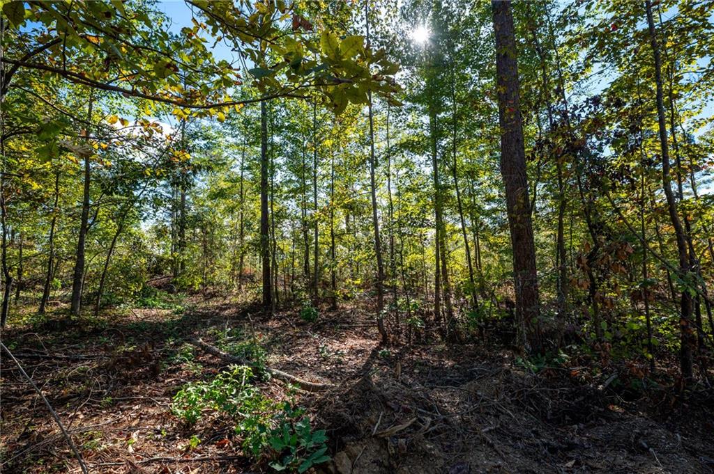 3785 HWY 140 NE