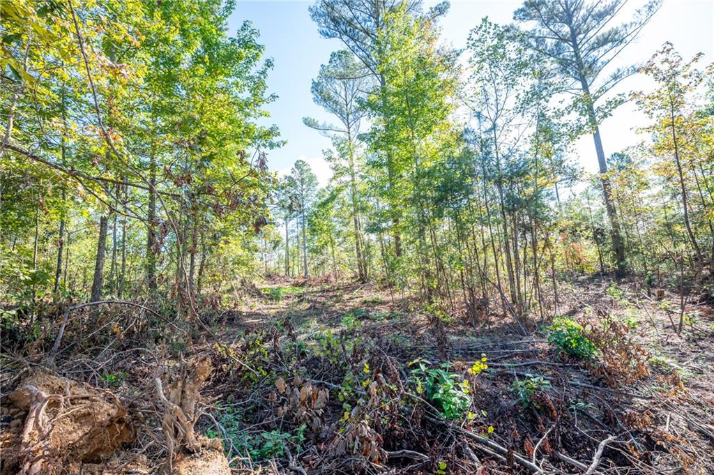 3785 HWY 140 NE