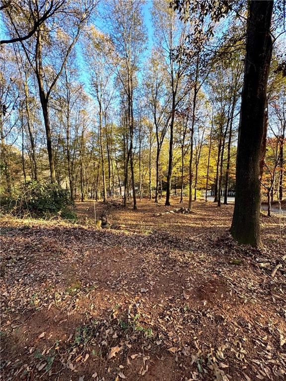 599 Mineral Springs Trail Connector Trl, Demorest, Georgia image 16