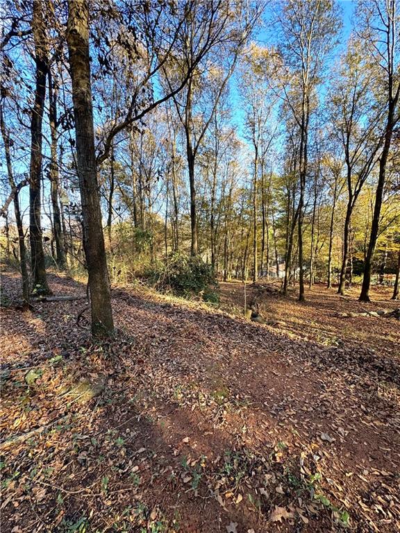 599 Mineral Springs Trail Connector Trl, Demorest, Georgia image 15