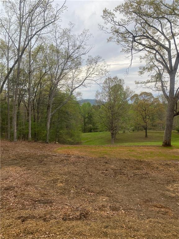Hilltop Lane, Clarkesville, Georgia image 1