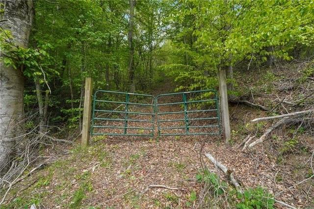 Auraria Road, Dahlonega, Georgia image 8