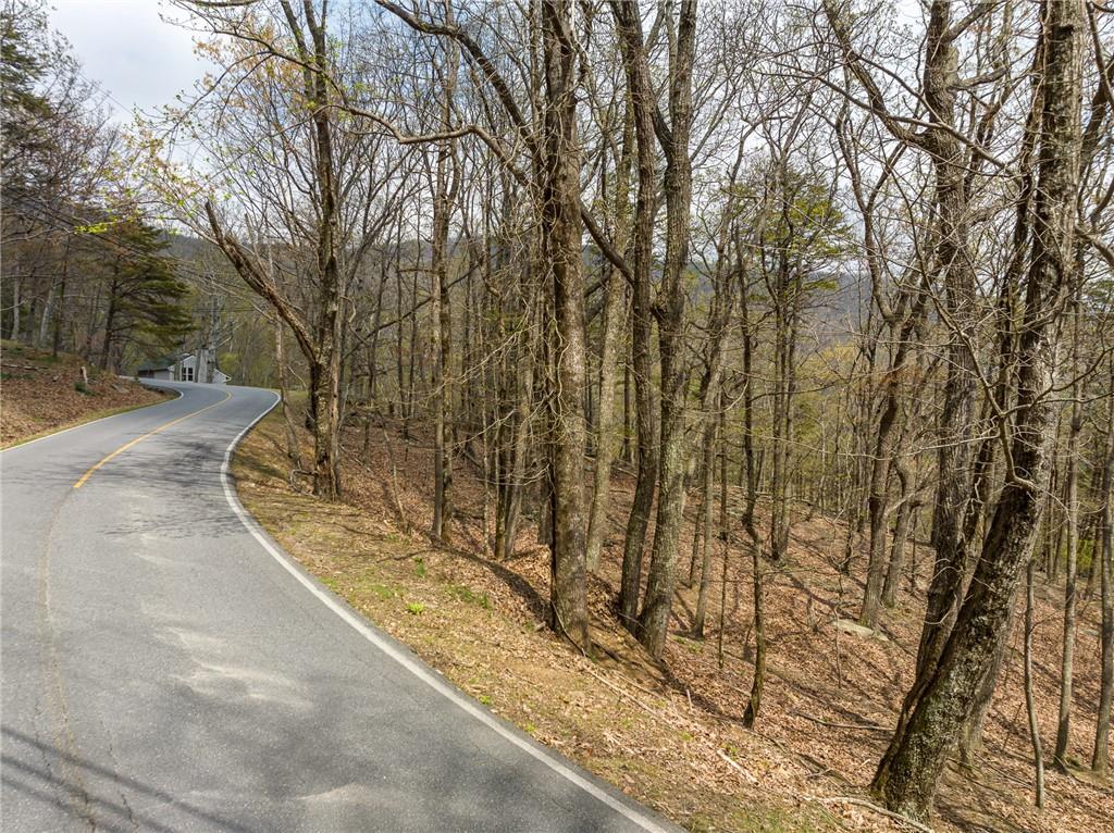 Little Hendricks Mountain Circle, Jasper, Georgia image 3