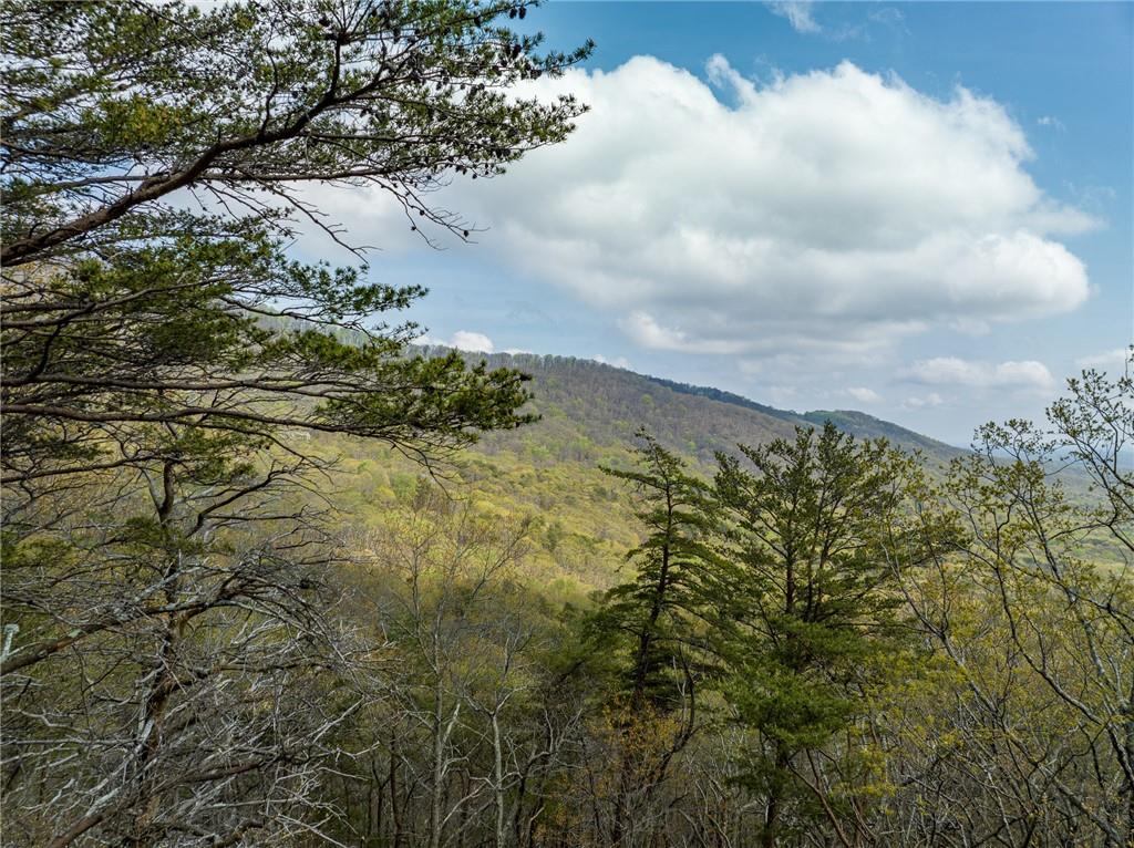 Little Hendricks Mountain Circle, Jasper, Georgia image 20