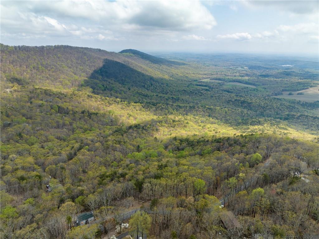 Little Hendricks Mountain Circle, Jasper, Georgia image 12