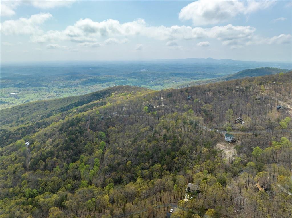 Little Hendricks Mountain Circle, Jasper, Georgia image 16