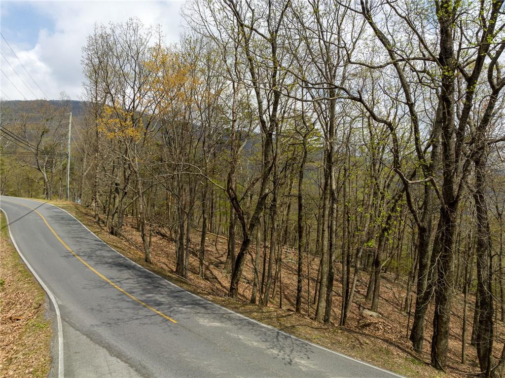 Little Hendricks Mountain Circle, Jasper, Georgia image 4