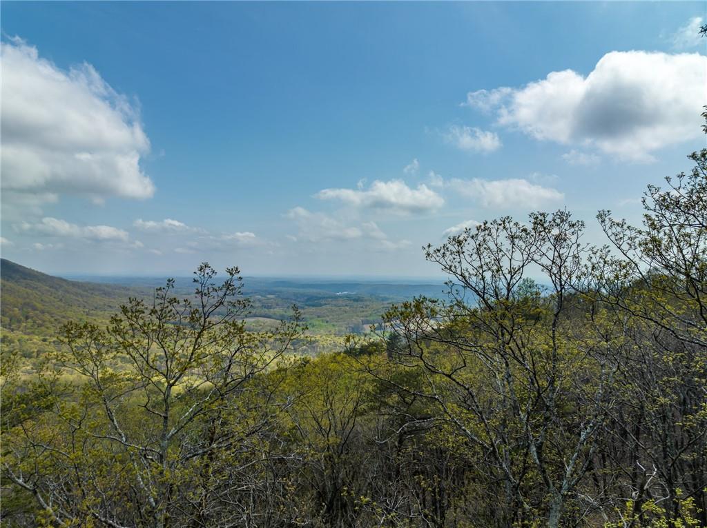 Little Hendricks Mountain Circle, Jasper, Georgia image 19