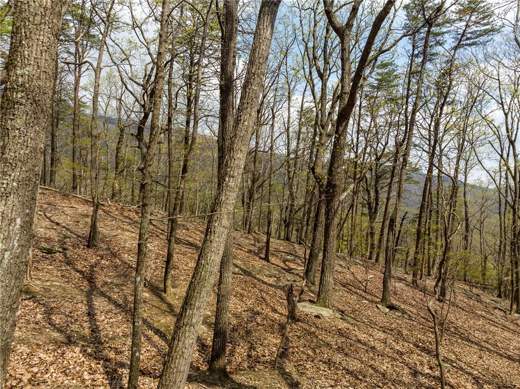 Little Hendricks Mountain Circle, Jasper, Georgia image 10