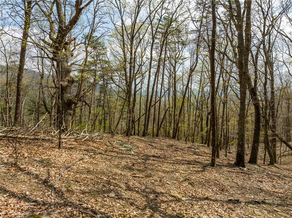 Little Hendricks Mountain Circle, Jasper, Georgia image 9