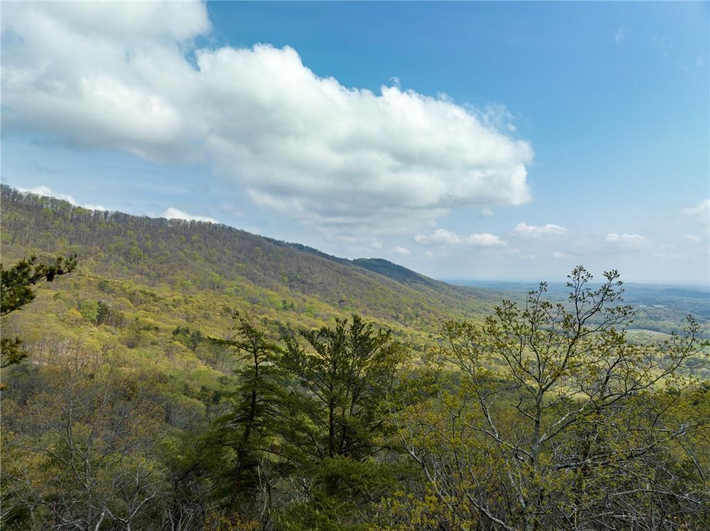 Little Hendricks Mountain Circle, Jasper, Georgia image 18