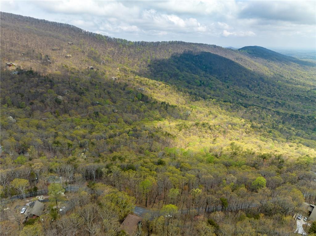 Little Hendricks Mountain Circle, Jasper, Georgia image 13