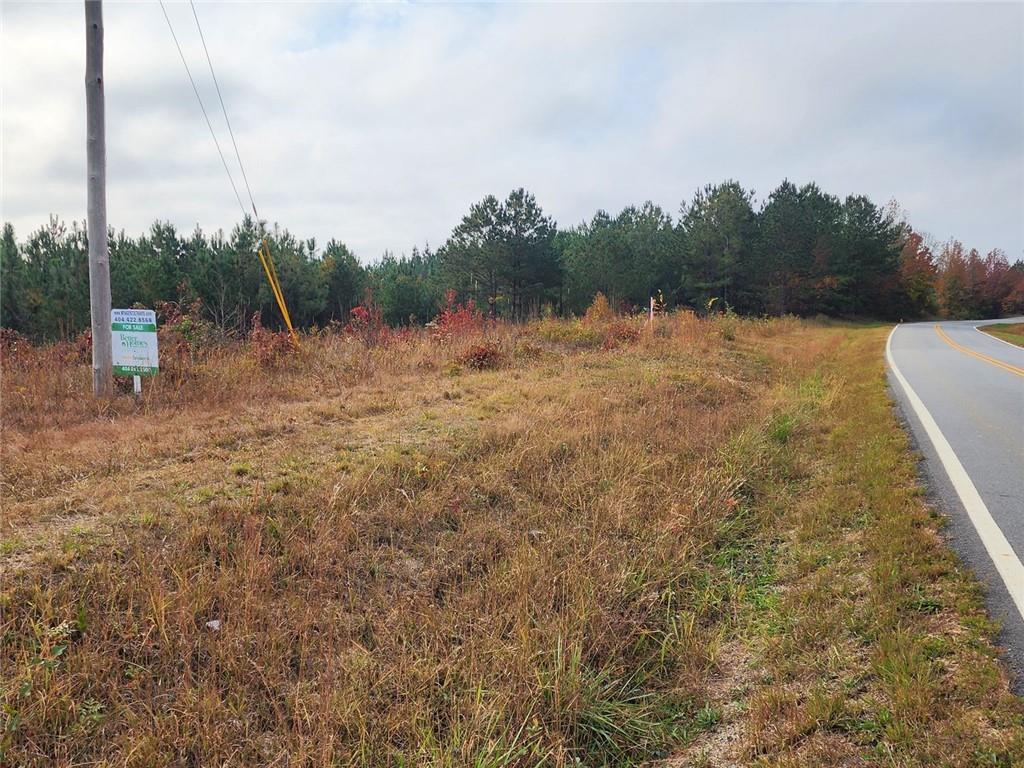 LOT 36 Mount Zion Church Road, Tallapoosa, Georgia image 11