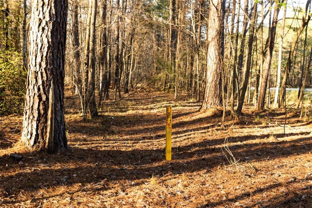 0 Social Circle Parkway