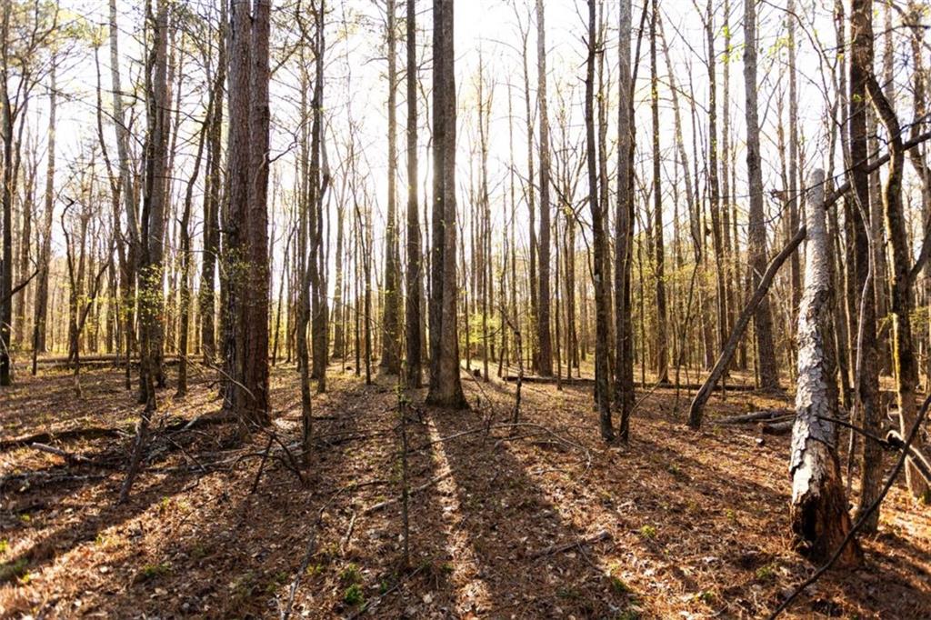 0 Social Circle Parkway