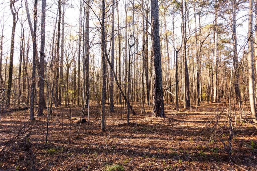 0 Social Circle Parkway