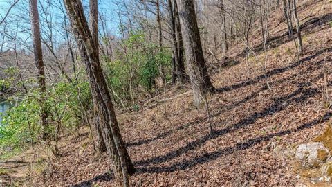 Unimproved Land in Cleveland GA 7.52AC Hellyer Drive 19.jpg