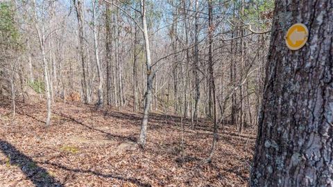 Unimproved Land in Cleveland GA 7.52AC Hellyer Drive 29.jpg