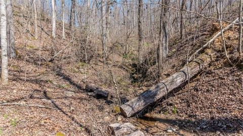 Unimproved Land in Cleveland GA 7.52AC Hellyer Drive 28.jpg