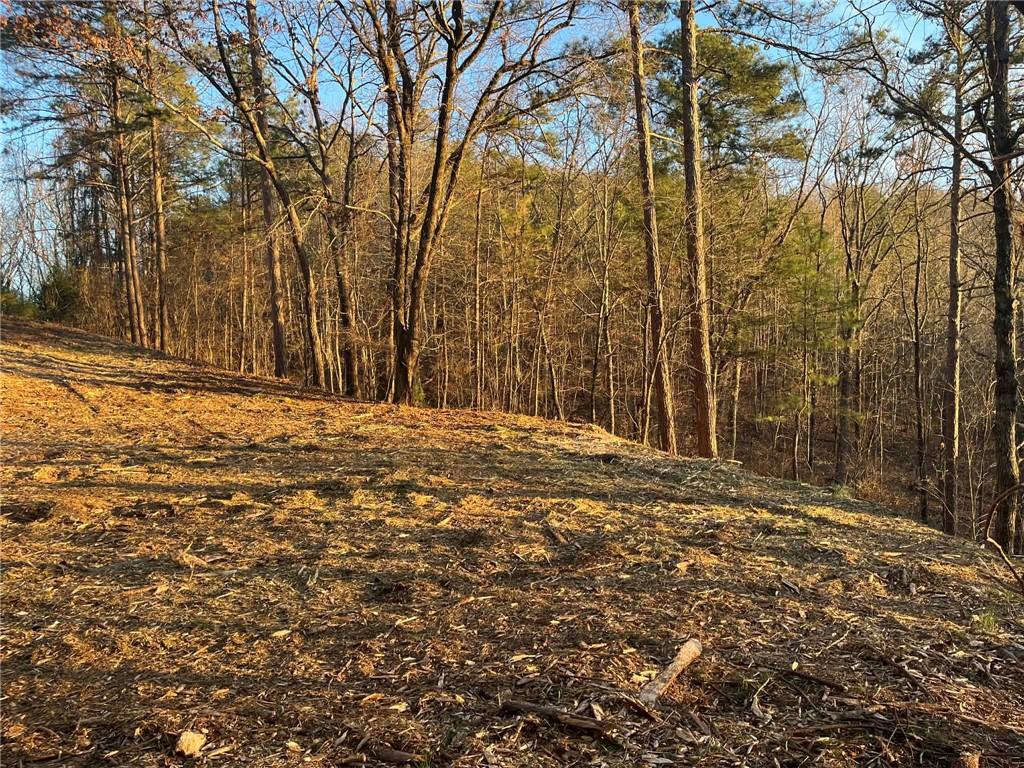 331 Paladin Drive NE