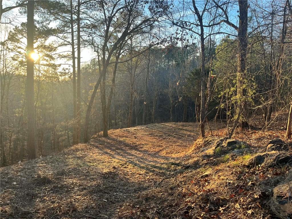 331 Paladin Drive NE