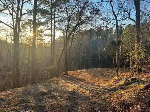 Vacant Land For Sale - 331 Paladin Drive<br/> Ranger, GA 30734