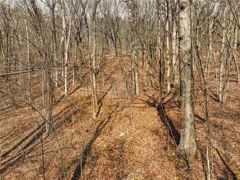 Vacant Land For Sale - LOT 6 Mount Mincie Road<br/> Lumpkin County, Murrayville, GA 30564