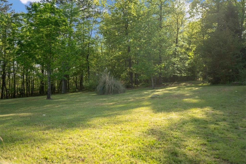 3833 Coral Lane, Douglasville, Georgia image 36