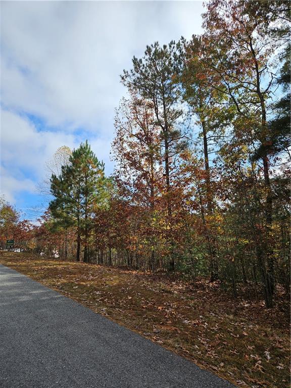 The Hills Lane, Blairsville, Georgia image 8