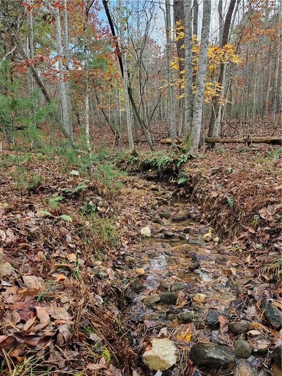 The Hills Lane, Blairsville, Georgia image 39