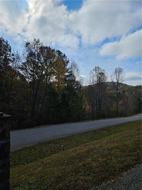 The Hills Lane, Blairsville, Georgia image 6