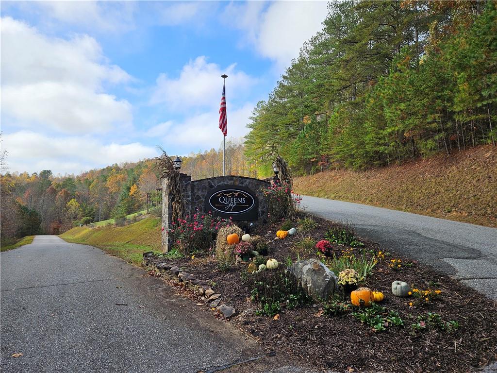 The Hills Lane, Blairsville, Georgia image 4