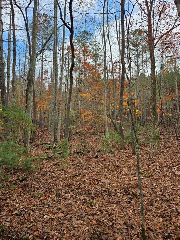 The Hills Lane, Blairsville, Georgia image 17