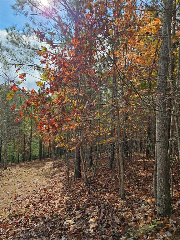 The Hills Lane, Blairsville, Georgia image 32